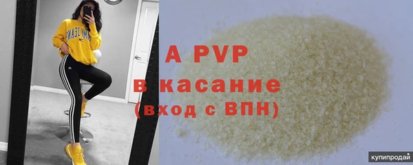 соль ск Новодвинск