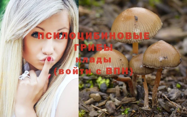 бутират Новозыбков