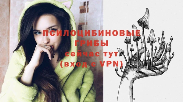 бутират Новозыбков
