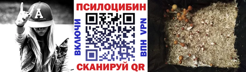 Псилоцибиновые грибы MAGIC MUSHROOMS  Чишмы 